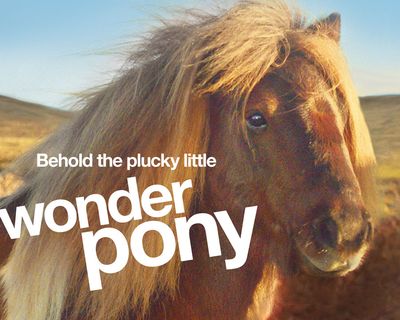 Pony-header.jpg